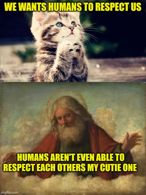 God's probably answer to that kitty | We wants humans to respect us; Humans aren't even able to respect each others my cutie one | image tagged in praying cat,god | made w/ Imgflip meme maker