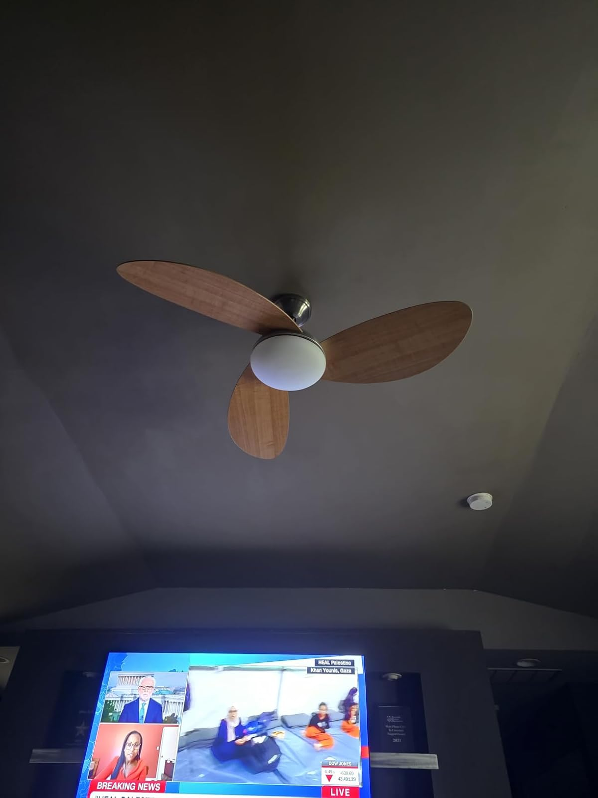Harbor Breeze Avian 52 in ceiling fan 3 blade Blank Meme Template