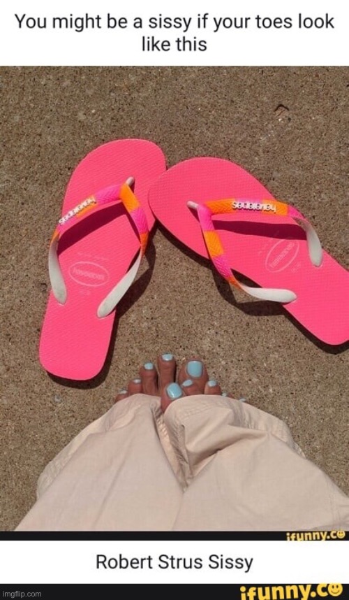 Sissy | image tagged in sissy | made w/ Imgflip meme maker