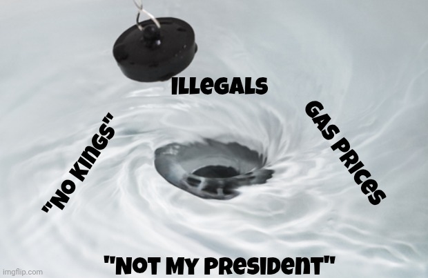 Democrats are circling the drain | Illegals; Gas Prices; "No Kings"; "Not My President" | image tagged in circle drain,back to the future,what day is it,latest thing,well yes but actually no,time to flush | made w/ Imgflip meme maker