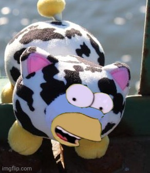 peepy got the dud | image tagged in peepy | made w/ Imgflip meme maker