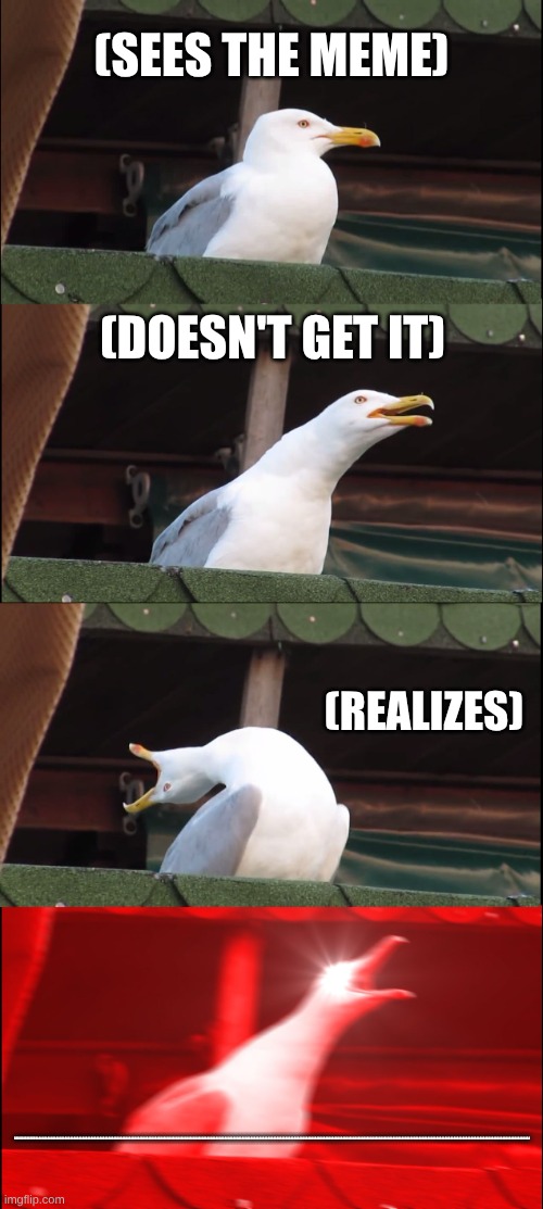 Inhaling Seagull Meme | (sees the meme) (doesn't get it) (realizes) RRRRRRRRRRRRRAAAAAAAAAAAAAAAAAAAAAAAAAAAAAAAAAAAAAAAAAAAAAAAAAAAAAAAAAAAAAAAAAAAAAAAAAAAAAAAAAAA | image tagged in memes,inhaling seagull | made w/ Imgflip meme maker
