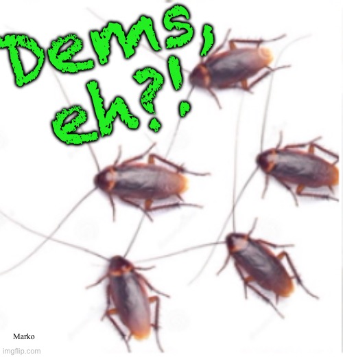 They Always Make Me SMH | Dems,
eh?! Marko | image tagged in memes,lefty is so dumb so dense,so demented so delusional,so derogatory so disgusting,so evil,fjb voters gotohell | made w/ Imgflip meme maker