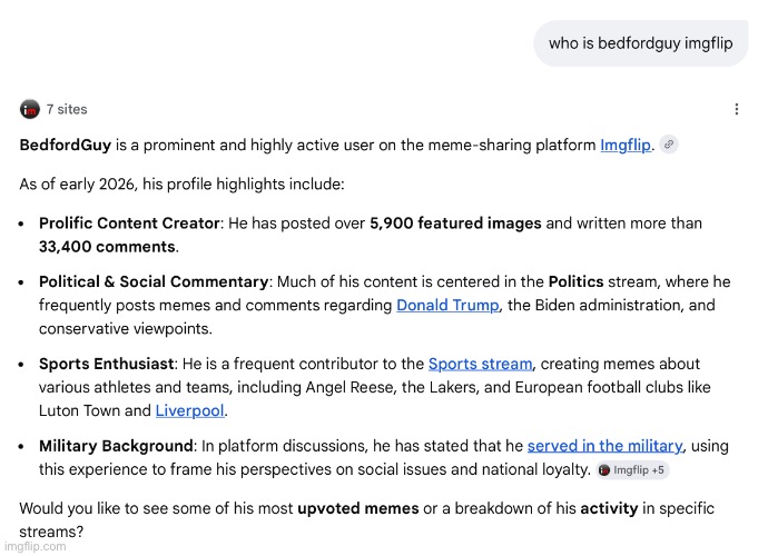 Google can now describe imgflip users | image tagged in fun fact,memes,msmg | made w/ Imgflip meme maker
