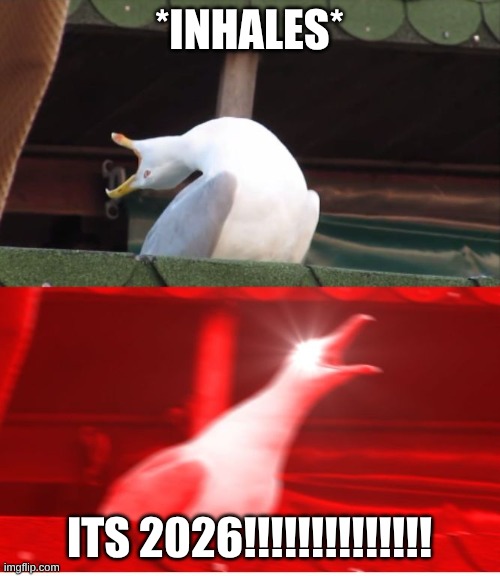 Screamin seagull | *inhales* ITS 2026!!!!!!!!!!!!!! | image tagged in screamin seagull | made w/ Imgflip meme maker