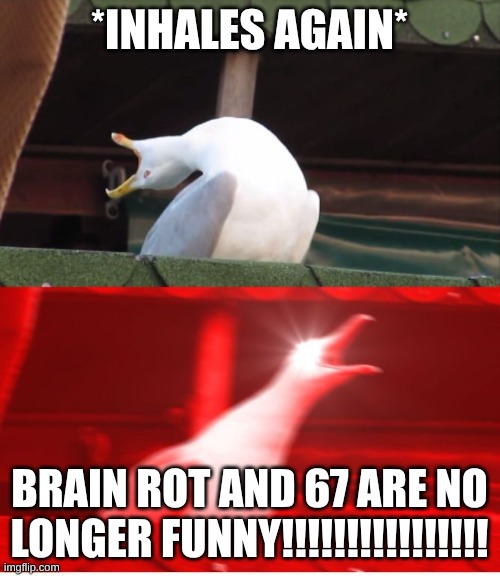 Screamin seagull | *inhales again* brain rot and 67 are no longer funny!!!!!!!!!!!!!!!! | image tagged in screamin seagull | made w/ Imgflip meme maker