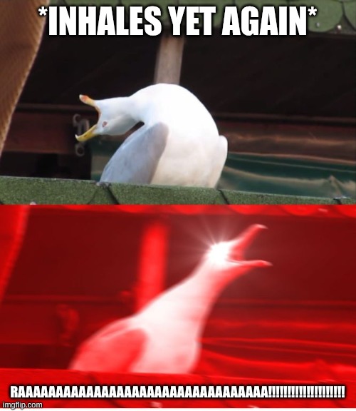 Screamin seagull | *inhales yet again* RAAAAAAAAAAAAAAAAAAAAAAAAAAAAAAAAA!!!!!!!!!!!!!!!!!!!! | image tagged in screamin seagull | made w/ Imgflip meme maker