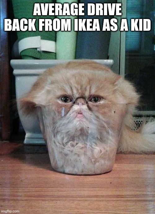 Claustrophobic!? | Average drive back from IKEA as a kid | image tagged in cat fitting into a small space | made w/ Imgflip meme maker