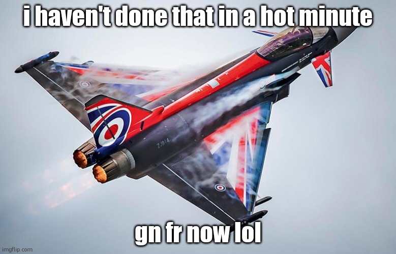 Eurofighter Typhoon | i haven't done that in a hot minute; gn fr now lol | image tagged in eurofighter typhoon | made w/ Imgflip meme maker