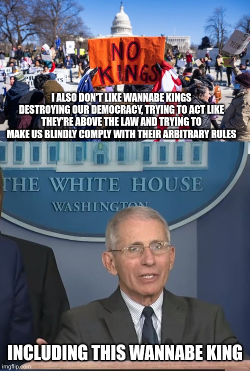 We could've used your 'no kings' protests during covid tyranny | I also don't like wannabe kings destroying our democracy, trying to act like they're above the law and trying to make us blindly comply with their arbitrary rules; Including this wannabe king | image tagged in dr fauci,no kings,liberal hypocrisy,tyranny | made w/ Imgflip meme maker