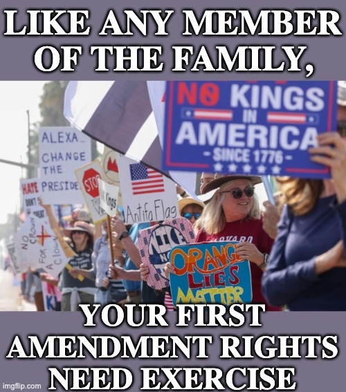 It feels good to act as a citizen | like any member of the family, your first amendment rights need exercise | image tagged in no kings,trump,idiocracy,protest,constitution,rights | made w/ Imgflip meme maker