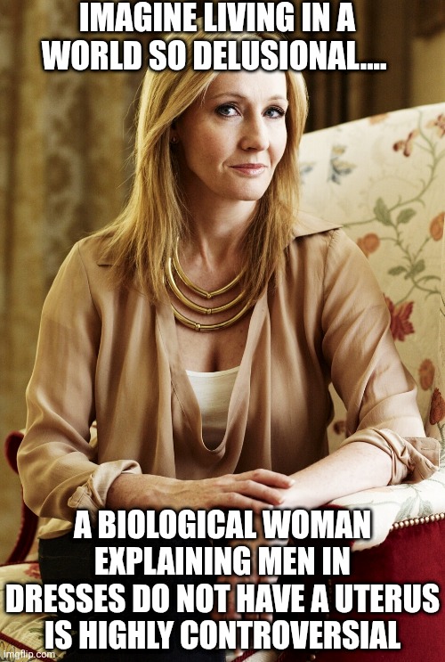 Doubling down on delusion just makes you look twice as dumb, not twice as right | Imagine living in a world so delusional.... A biological woman explaining men in dresses do not have a uterus is highly controversial | image tagged in jk rowling,transgender,expectation vs reality,facts,liberal logic,special kind of stupid | made w/ Imgflip meme maker