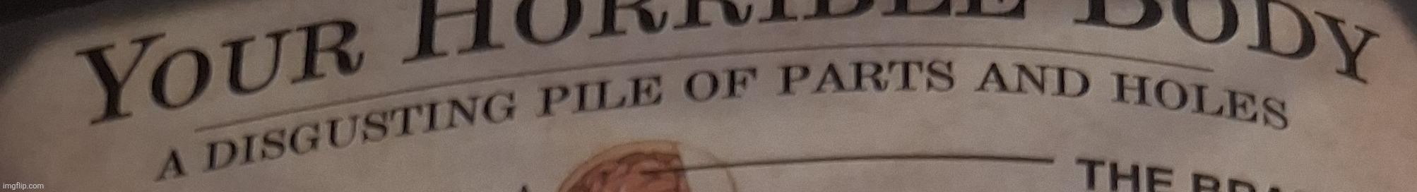 What is a man | image tagged in anyone,want,the,full,image,later | made w/ Imgflip meme maker