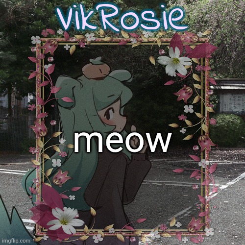 Rose's Tanger Temp | meow | image tagged in rose's tanger temp | made w/ Imgflip meme maker