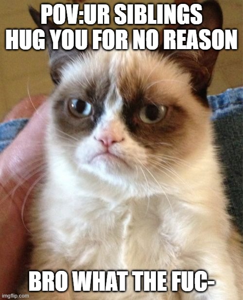Grumpy Cat Meme | pov:ur siblings hug you for no reason; BRO WHAT THE FUC- | image tagged in memes,grumpy cat | made w/ Imgflip meme maker