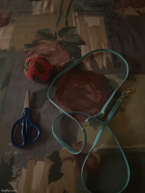 nightime activities | made w/ Imgflip meme maker