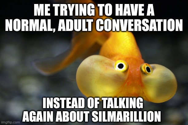 Hold your words | Me trying to have a normal, adult conversation; Instead of talking again about Silmarillion | image tagged in hold your breath goldfish,memes,silmarillion,tolkien,lotr,nerd | made w/ Imgflip meme maker