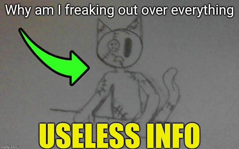 puffy useless info | Why am I freaking out over everything | image tagged in puffy useless info | made w/ Imgflip meme maker
