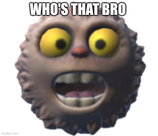 Thumpie | Who's that bro | image tagged in thumpie | made w/ Imgflip meme maker