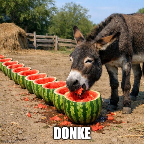 donke | donke | image tagged in donkey | made w/ Imgflip meme maker