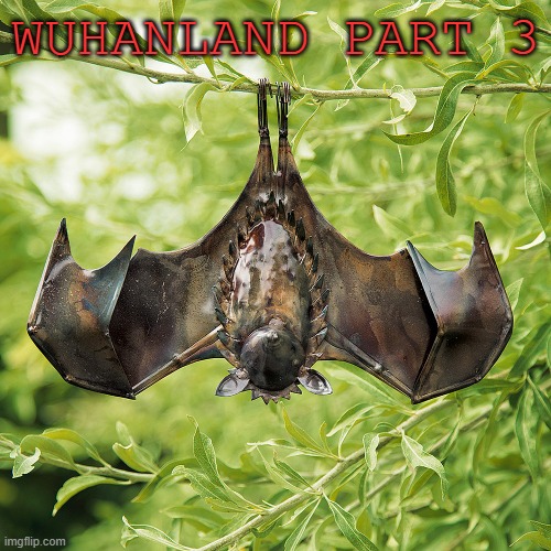 hanging bat | wuhanland part 3 | image tagged in hanging bat | made w/ Imgflip meme maker