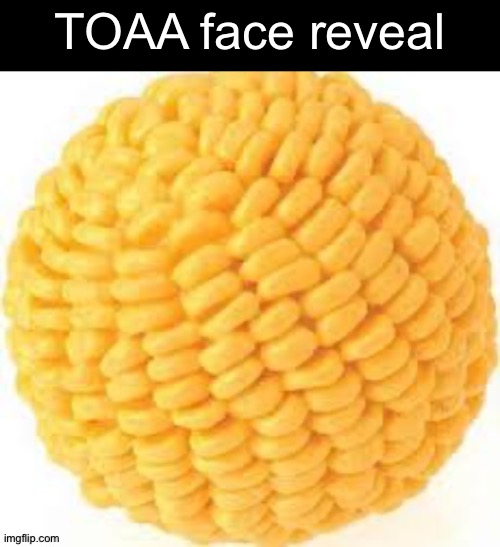 real, not fake | TOAA face reveal | image tagged in cornball,toaa,imgflip users,slander,what is wrong with you,corny | made w/ Imgflip meme maker