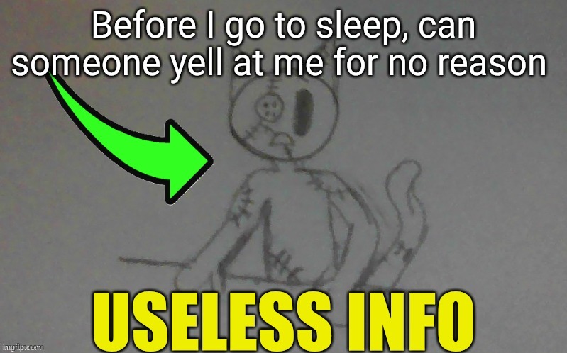 puffy useless info | Before I go to sleep, can someone yell at me for no reason | image tagged in puffy useless info | made w/ Imgflip meme maker