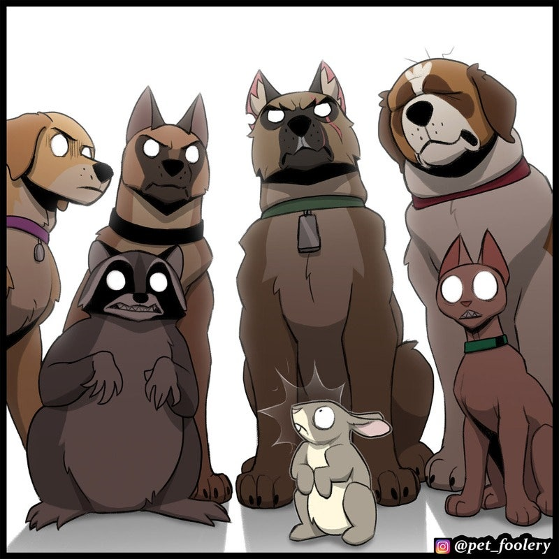 Animals staring at rabbit Blank Meme Template