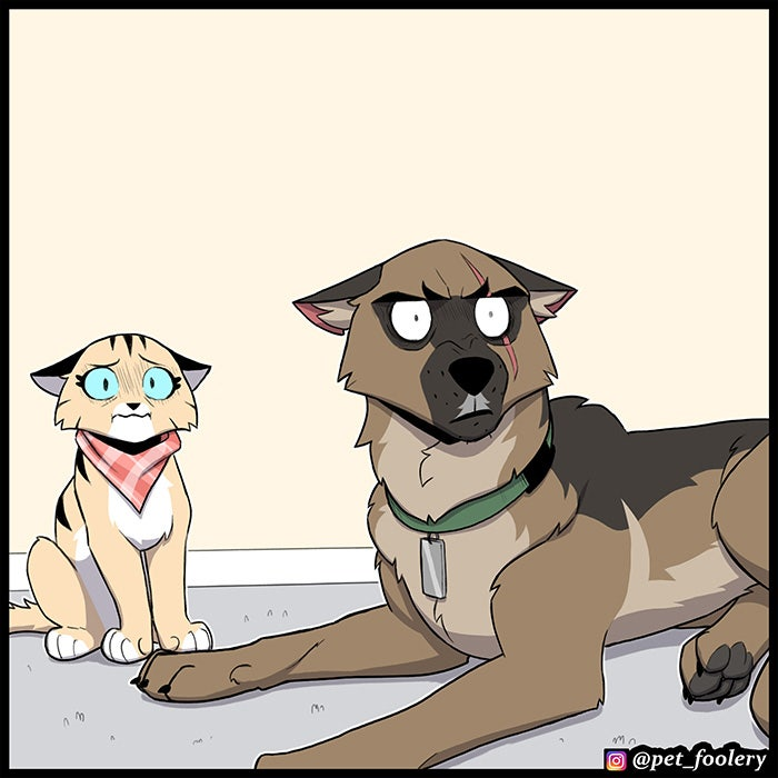 Pixie & Brutus Reaction Stare Blank Meme Template