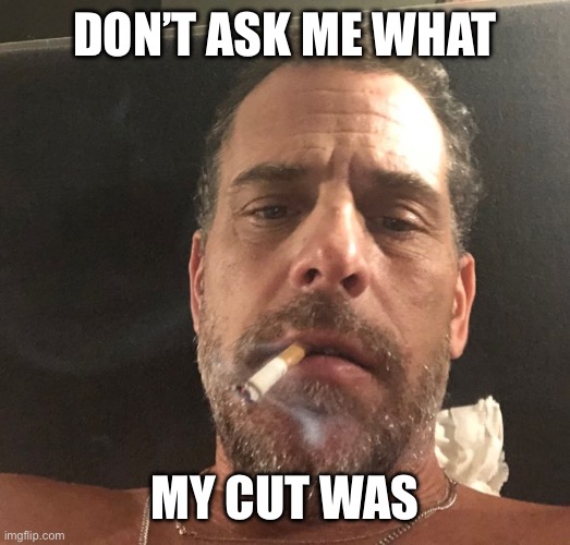 Hunter Biden | Don’t ask me what My cut was | image tagged in hunter biden | made w/ Imgflip meme maker