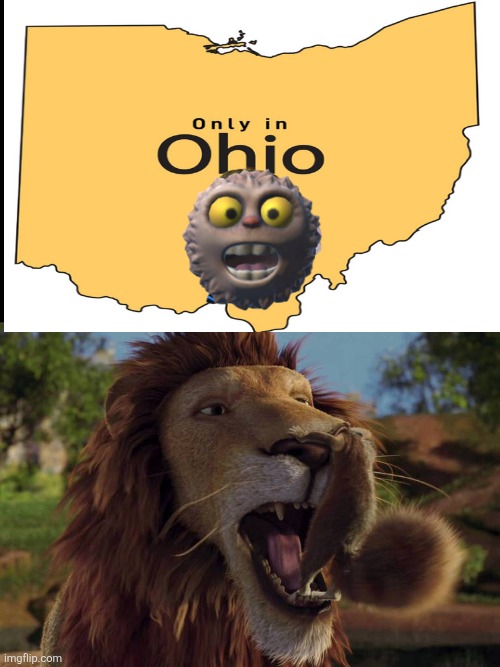 ONLY IN OHIO!!!! | image tagged in who laughs at samson put in stuck a benny's nose | made w/ Imgflip meme maker