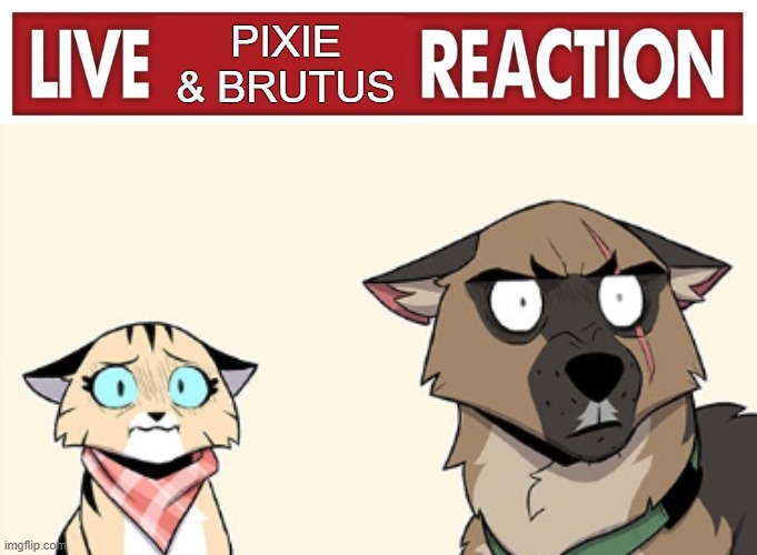 Live reaction | Pixie & Brutus | image tagged in live reaction | made w/ Imgflip meme maker