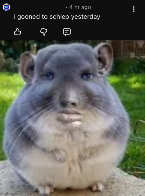 Schlep Gooner | image tagged in roblox,schlep,cornball,dumb comments | made w/ Imgflip meme maker