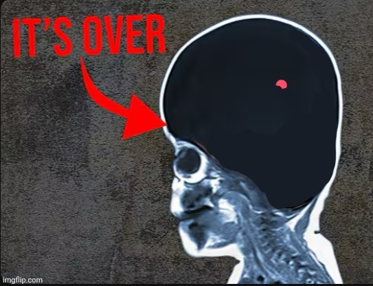 It's over | image tagged in it's over | made w/ Imgflip meme maker