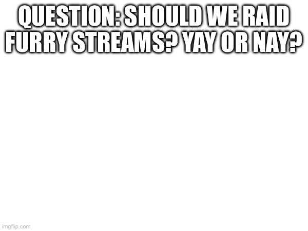 question: should we raid furry streams? yay or nay? | made w/ Imgflip meme maker