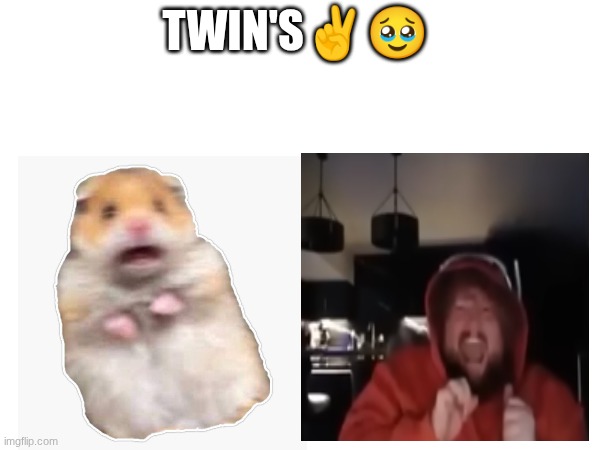 Twin's✌? | Twin's✌🥹 | image tagged in caseoh,hamster | made w/ Imgflip meme maker