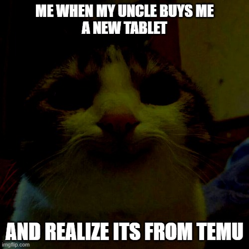 What my parents get me in christmas | me when my uncle buys me
a new tablet; and realize its from temu | image tagged in memes,smiling cat | made w/ Imgflip meme maker