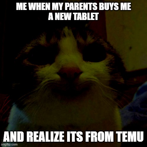 Smiling Cat | me when my parents buys me
a new tablet; and realize its from temu | image tagged in memes,smiling cat | made w/ Imgflip meme maker