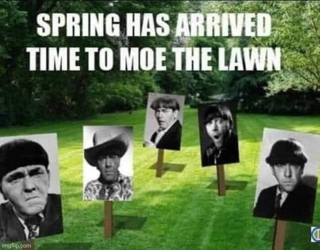 I'm a lawn Moer | image tagged in springtime,moe,lawn,three stooges,lawnmower,stupid memes | made w/ Imgflip meme maker