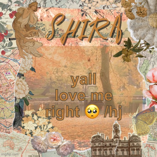 shira’s sweet temp | yall love me right 🥺 /hj | image tagged in shira s sweet temp | made w/ Imgflip meme maker