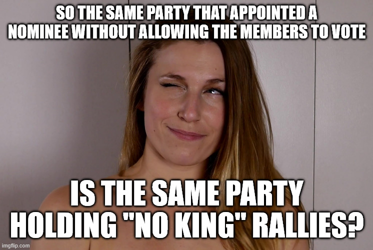 No King Stupidity | so the same party that appointed a nominee without allowing the members to vote; is the same party holding "no king" rallies? | image tagged in libtards,democrats,stupid,hypocrite | made w/ Imgflip meme maker