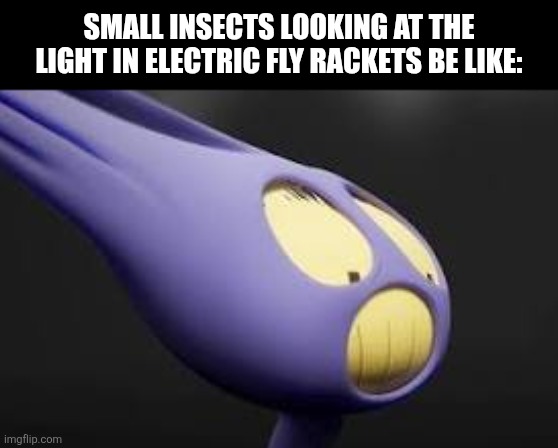 Small insects looking at the light in electric fly rackets be like: | image tagged in memes,insects,light | made w/ Imgflip meme maker