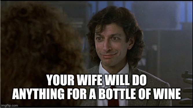Cheeseburger | Your wife will do anything for a bottle of wine | image tagged in cheeseburger | made w/ Imgflip meme maker