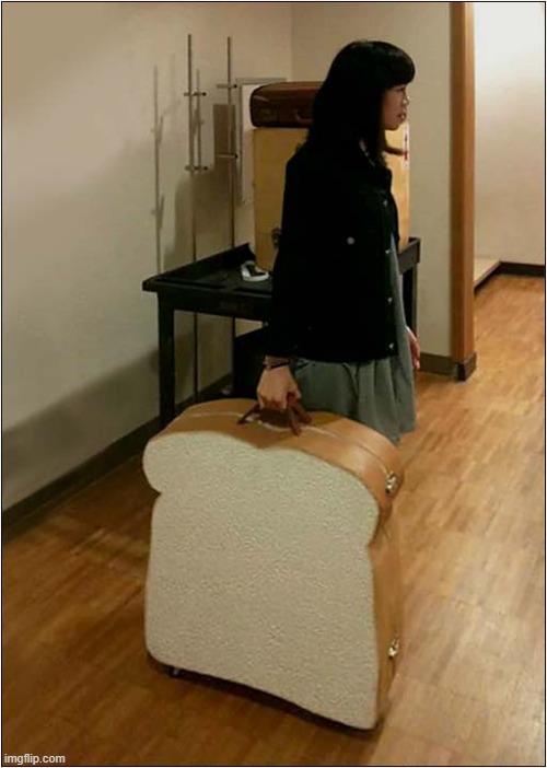I Bet That Suitcase Is 'Jam Packed' ! | image tagged in suitcase,jam sandwich,play on words | made w/ Imgflip meme maker