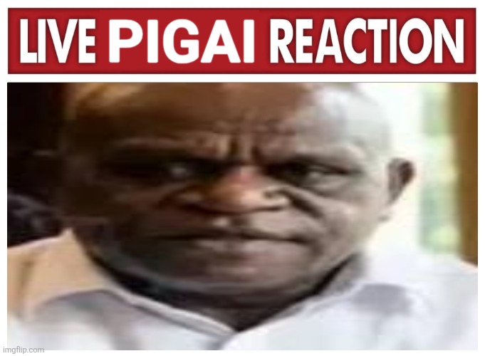 Live reaction | PIGAI | image tagged in memes,live,reaction | made w/ Imgflip meme maker