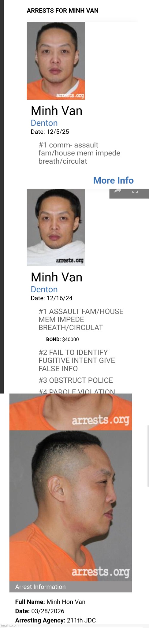 Mini vans there not your 1990s mom mobile,something far more dangerous | image tagged in van | made w/ Imgflip meme maker