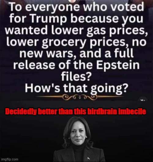 Decidedly better than this birdbrain imbecile | made w/ Imgflip meme maker