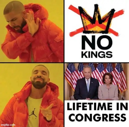 Isn't that the truth? | image tagged in kings,democrats,congress,nancy pelosi,chuck schumer,mind blown | made w/ Imgflip meme maker