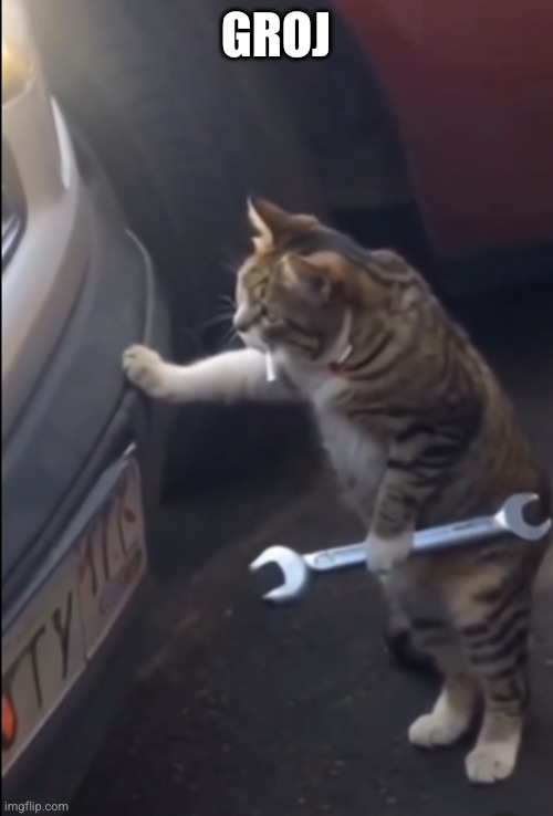 Garage Cat | Groj | image tagged in garage cat | made w/ Imgflip meme maker