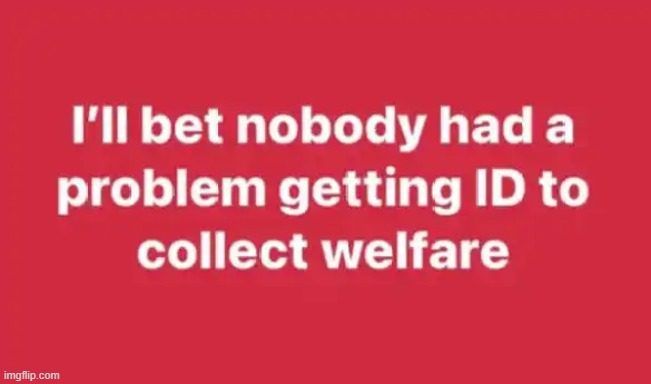 The only reason they don't want identification is so they can cheat. Period. | image tagged in welfare,id,identification,scammers,cheaters,liars | made w/ Imgflip meme maker